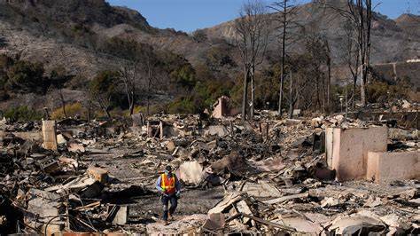 Pacific Palisades wildfire recovery community