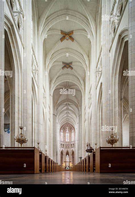 Neo-Gothic cathedral nave vaulting interior