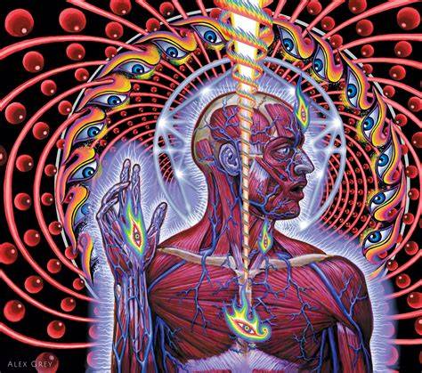 Tool Lateralus album track sequence