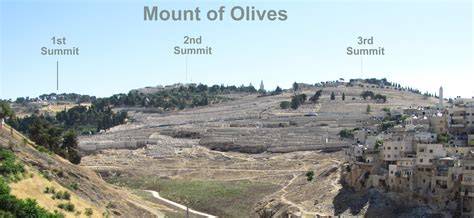 Mount of Olives overlooking Jerusalem temple
